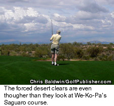 Saguaro Course - Golfer in Fairway