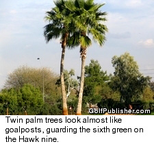 Twin Palms