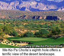 We-Ko-Pa Cholla Golf Course - No. 8