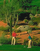 The Phoenician