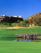 The Phoenician