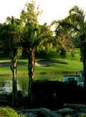 Ocotillo Golf Club