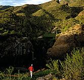 Ventana